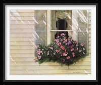 Shutter Blue Fine Art Print