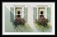 Windows With Flowerboxes Fine Art Print