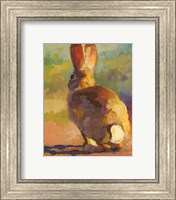 Backdoor Bunny Fine Art Print
