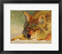 Chillin Coyote Fine Art Print