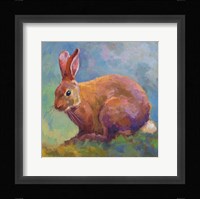 Cottonball Framed Print