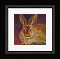 Lotsa Fluff Framed Print