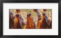 Party of Five Herefords Framed Print