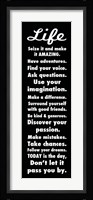 Life 1 Framed Print