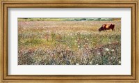 Roman Countryside 1903 Fine Art Print