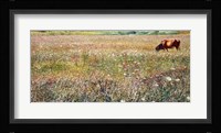 Roman Countryside 1903 Fine Art Print