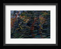 States of Mind - Those that Go (Stati D'animo, Quelli Che Vanno) Fine Art Print