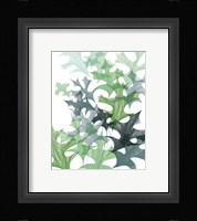 Leaf Impression II Framed Print