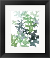 Leaf Impression II Fine Art Print
