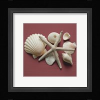 By the Shore I Fine Art Print