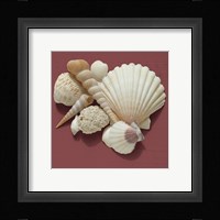 By the Shore IV Fine Art Print