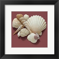 By the Shore IV Fine Art Print