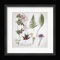 Nature Hope Fine Art Print