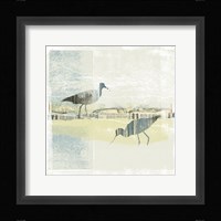 Coastal Birds I Framed Print