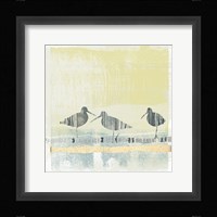 Coastal Birds II Fine Art Print