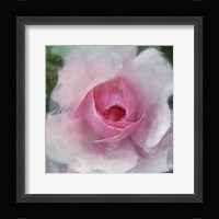 Elegant Bloom I Fine Art Print