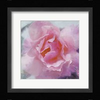 Elegant Bloom II Fine Art Print