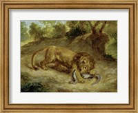 Lion and Cayman, 1855 Fine Art Print