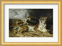 A Young Tiger Playing with its Mother, 1830 Fine Art Print