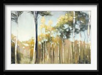 Aspen Reverie Fine Art Print