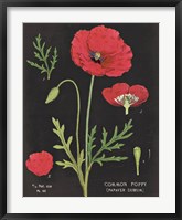 Poppy Chart Fine Art Print