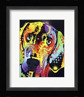 Weimaraner Framed Print
