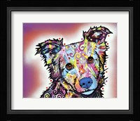 Collied Fine Art Print