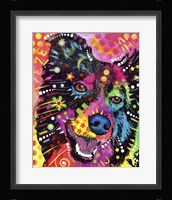 Border Collie 2 Fine Art Print