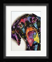 Pointer Framed Print