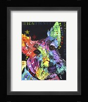 Scottish Terrier Fine Art Print
