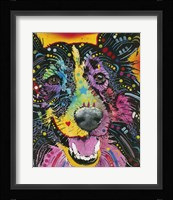 Smiling Collie Fine Art Print