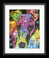 Curious Greyhound Fine Art Print