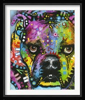 Little Dog Stare Fine Art Print