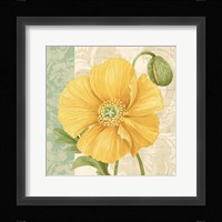 Pastel Poppies I Framed Print