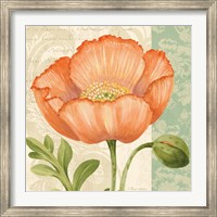 Pastel Poppies II Fine Art Print