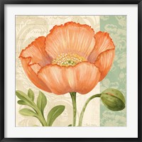 Pastel Poppies II Fine Art Print