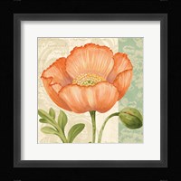 Pastel Poppies II Framed Print