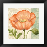Pastel Poppies II Framed Print