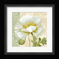 Pastel Poppies III Framed Print