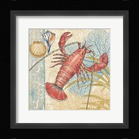 Oceana I Framed Print