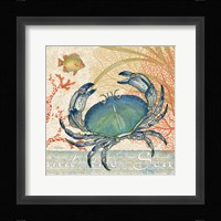 Oceana II Framed Print