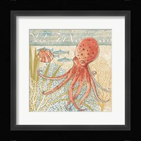 Oceana IV Framed Print