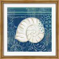 Navy Blue Spa Shells I Fine Art Print