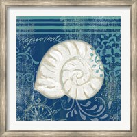 Navy Blue Spa Shells I Fine Art Print