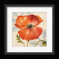 Watercolor Poppies I (Orange) Framed Print