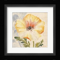 Watercolor Poppies II Framed Print