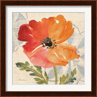 Watercolor Poppies V Fine Art Print