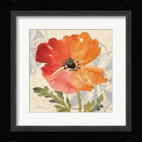 Watercolor Poppies V Framed Print
