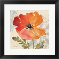 Watercolor Poppies V Framed Print