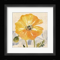 Watercolor Poppies VI Framed Print